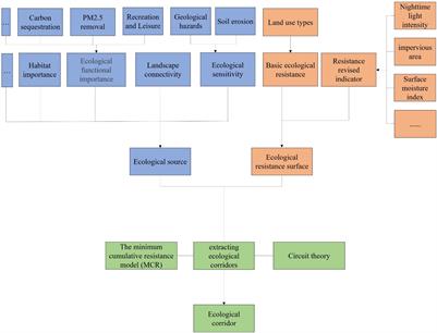 Linking MSPA and Circuit Theory to Identify the Spatial Range of Ecological Networks and Its Priority Areas for Conservation and Restoration in Urban Agglomeration